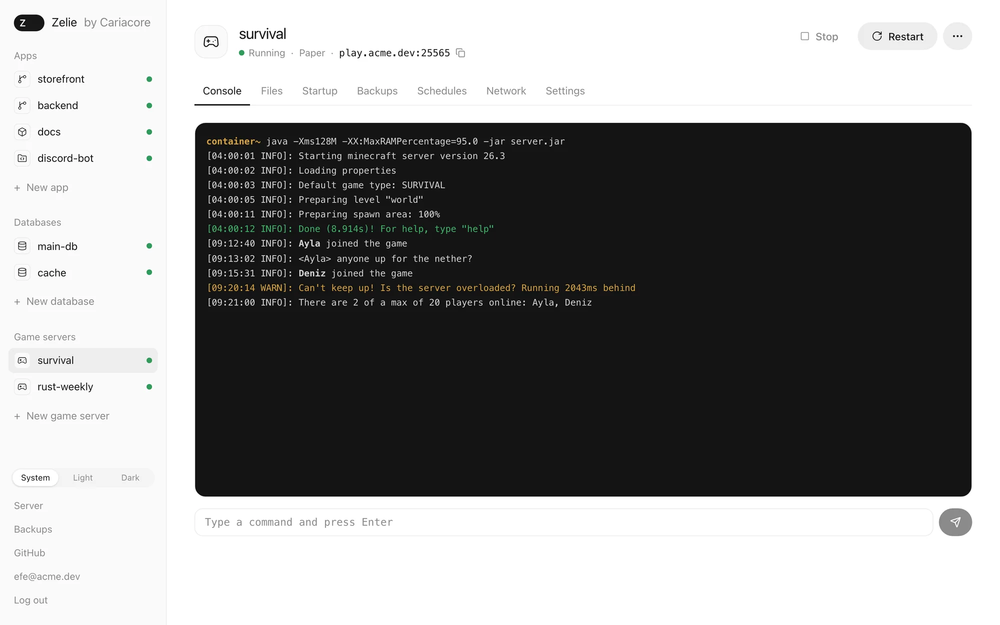 A Minecraft server called survival, running Paper, on its Console tab. The log shows the server starting, two players joining and chatting, and a yellow warning that the server is running behind. A command box sits under the log, and tabs for files, startup, backups, schedules, network and settings run along the top.